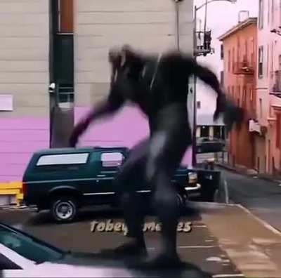 spooder