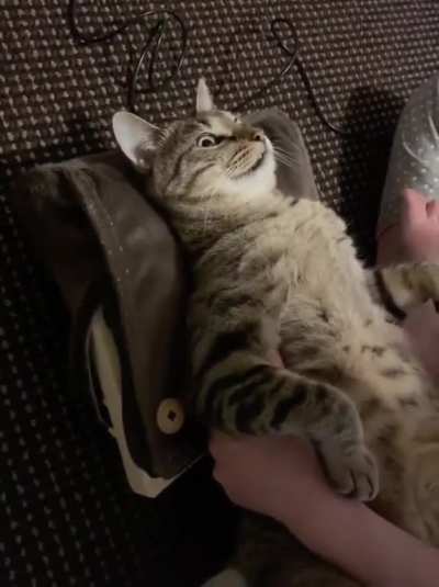 Массаж для Котика