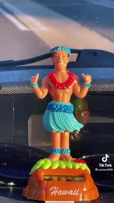 Vibing with little hula guy