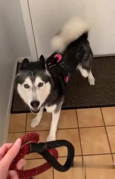 he want go out