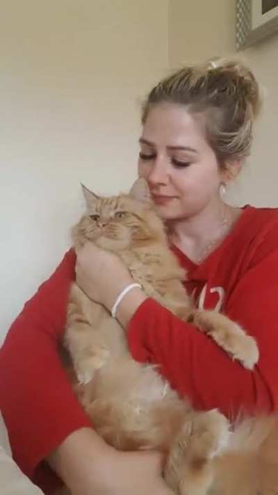 Ron loves to be held like the baby that he is 🥰