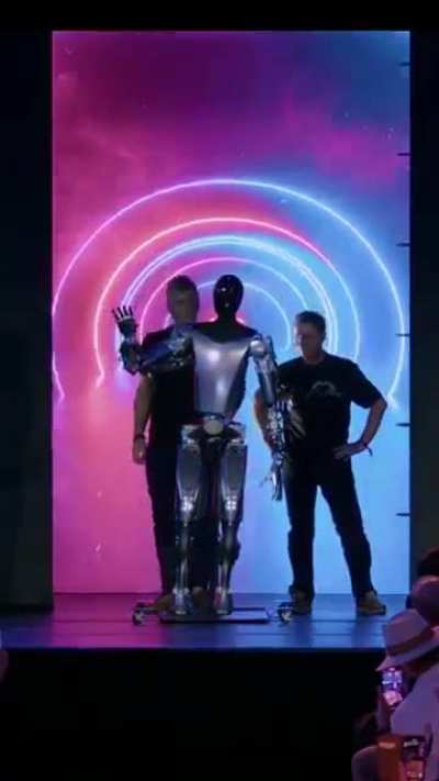 Tesla Bot Impressive?