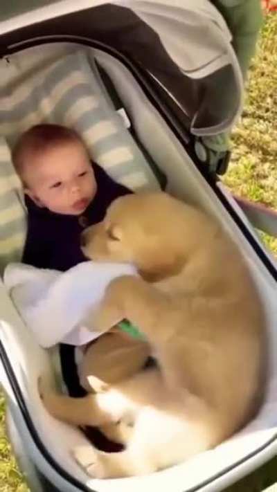 Best friends for life.