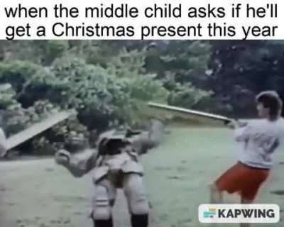 middle child mold