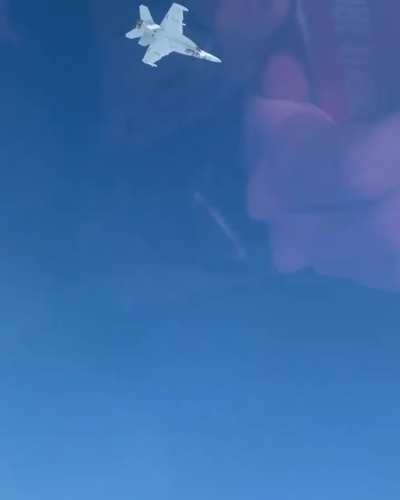 EA-18G Maneuver (@ig_swifftea)