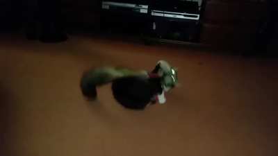Cat doesn'tlike Santa coat