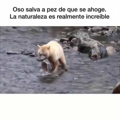 Heroe sin capa😥