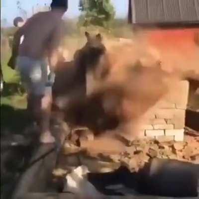 This is Sparta!