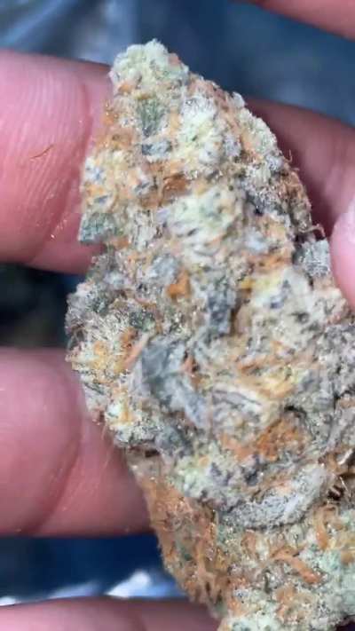 Grapefruit Durban