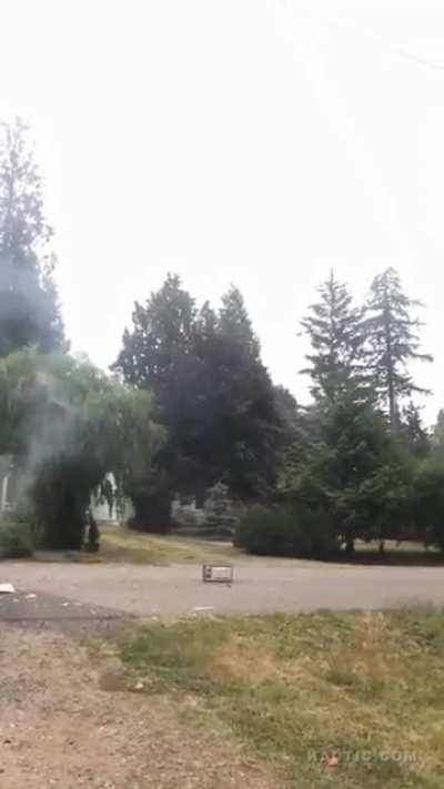 Microwaves and fireworks don't mix. Here's the proof.