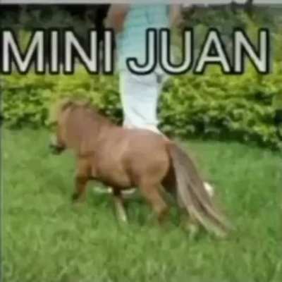 El juans