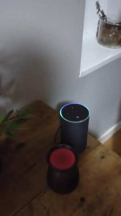 The Welsh language can be a bit obnoxious at times.