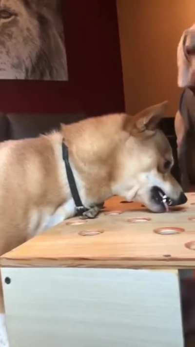 I love this game