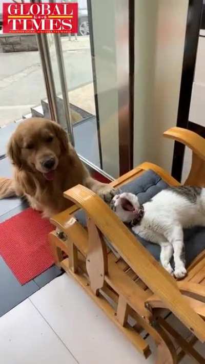 Don't worry we take care of each other