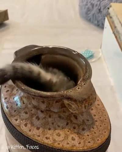 Magia negra