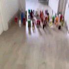 cat vs dog