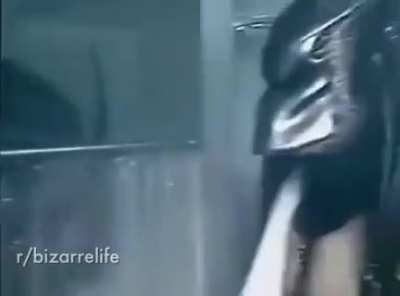Alien vs Predator