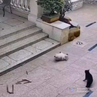 Stairs are hard