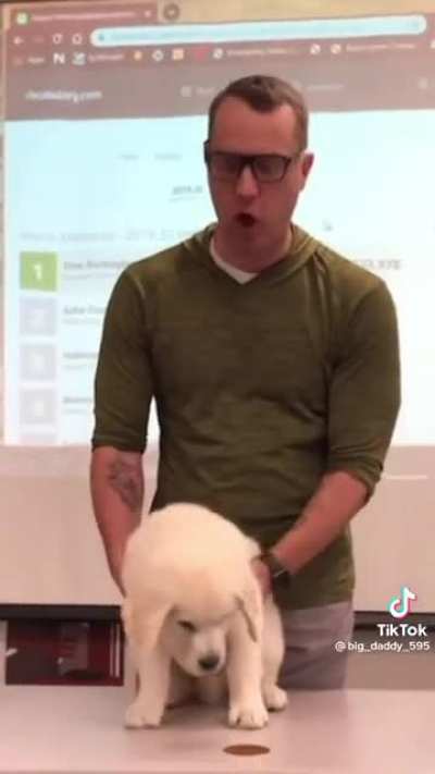 Buck (Credit to @big_daddy_595 tiktok)