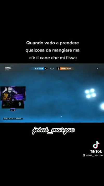 Signori questa è la lingua degli dei