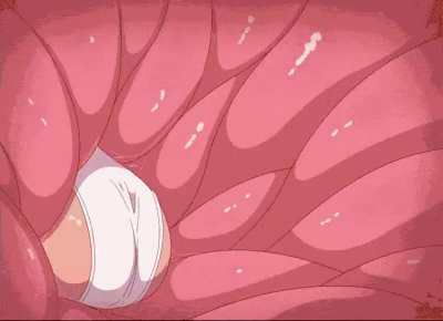 Stretchable panty
