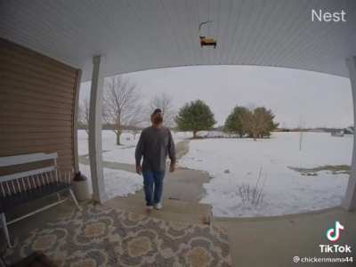 Letting your dog go for a walk