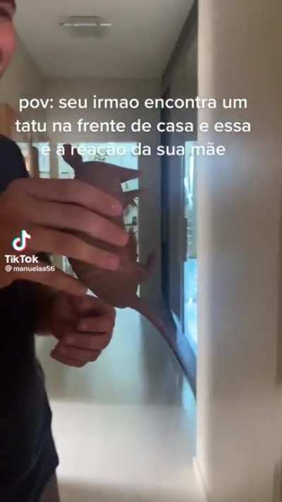 ai q bonitinho😍😍😍