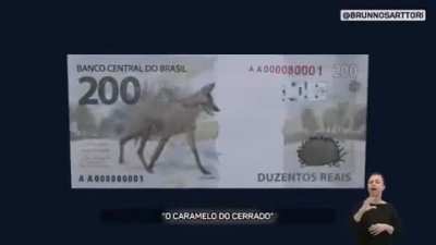 Perdeu e ficou puto (Quibei dnv)