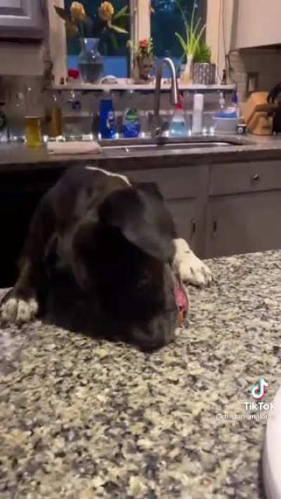 Monch