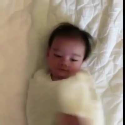 terriFyINg MONsTEr bREakS FREe of rEStRaInTS, huMANS caN'T CONtRoL IT!