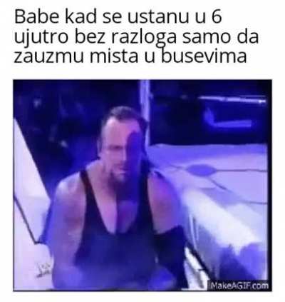 volin mi bus smrdi po ribi 🤤