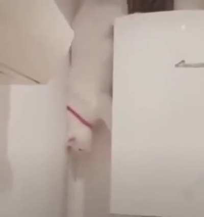 perfectly executed