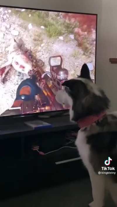 Poor Dog.