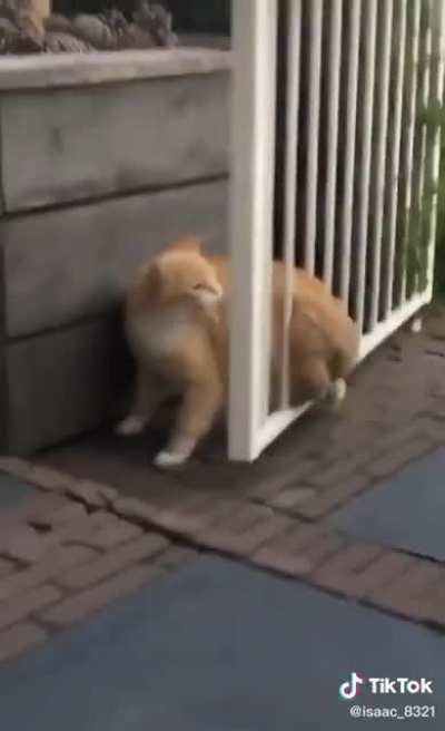 Me Blaming people for my problems.