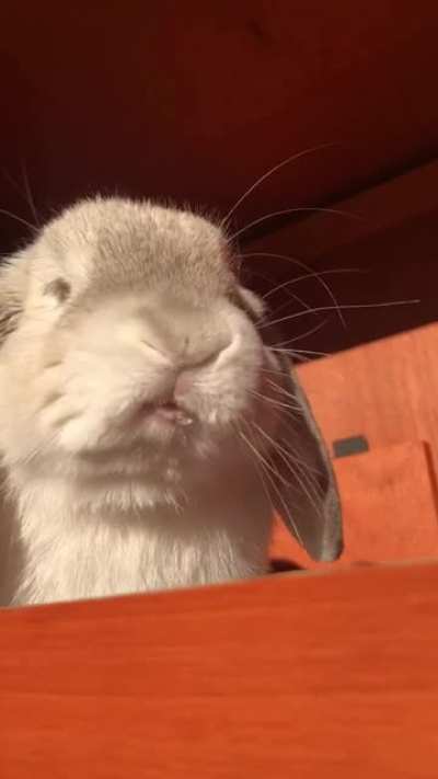 Mlem