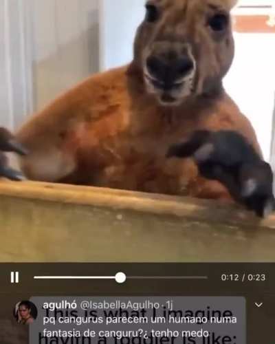 Kkkkkkkkk