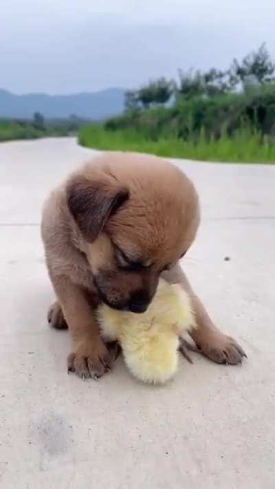 When you become sleepy