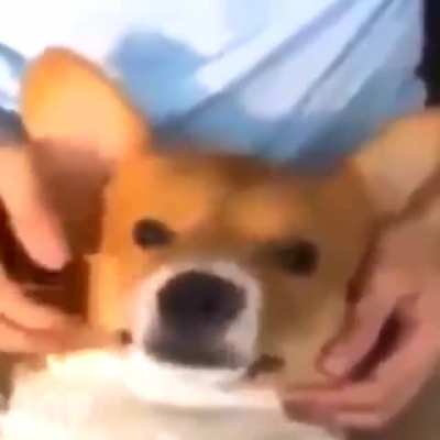 7 777 7