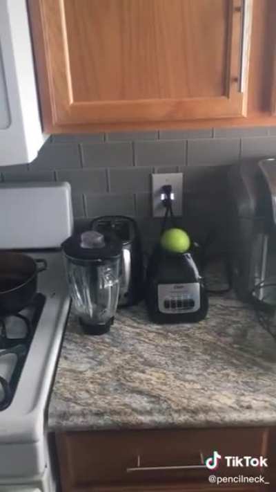 Apple on a blender? What could go wrong?
