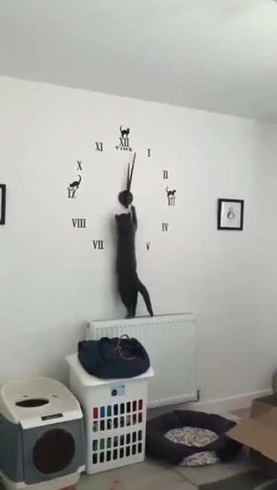 Setting the time