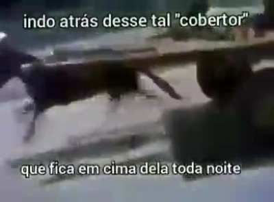 Quem que é esse cara?