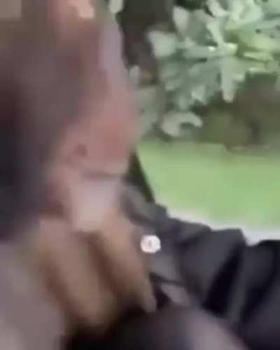 Monke