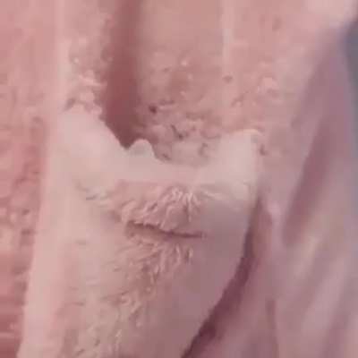heeeeeeeeeeeeeeeelp
