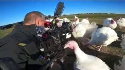 The cameraman: 