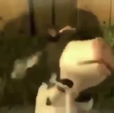 🥛