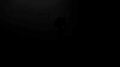 Don’t fear the dark. Fear what hides within it.