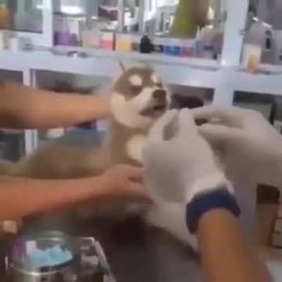 Its a n word referece ... امرأة تدعي أنها مريم العذراء متزوجة من المسيح