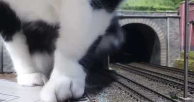How Rail Networks Clean Their Tunnels…