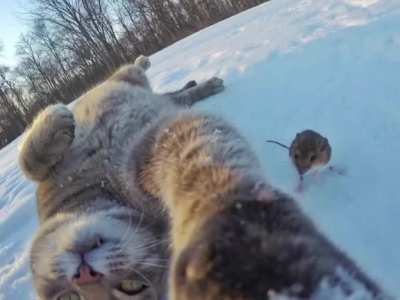 Когда ты фотогеничен