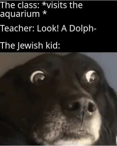 Oh no oh shid